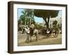 Volante at the Plaza De Armas, Havana, 1904-null-Framed Giclee Print