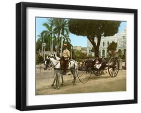 Volante at the Plaza De Armas, Havana, 1904-null-Framed Giclee Print