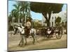 Volante at the Plaza De Armas, Havana, 1904-null-Mounted Giclee Print