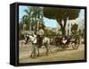 Volante at the Plaza De Armas, Havana, 1904-null-Framed Stretched Canvas