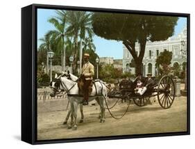 Volante at the Plaza De Armas, Havana, 1904-null-Framed Stretched Canvas