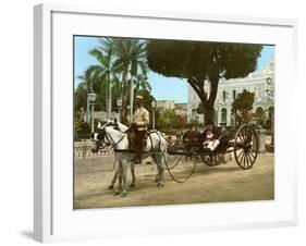 Volante at the Plaza De Armas, Havana, 1904-null-Framed Giclee Print