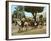 Volante at the Plaza De Armas, Havana, 1904-null-Framed Giclee Print