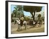 Volante at the Plaza De Armas, Havana, 1904-null-Framed Giclee Print