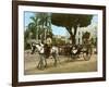 Volante at the Plaza De Armas, Havana, 1904-null-Framed Giclee Print