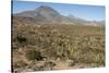 Volcan las Tres Virgenes, Santa Rosalia, Baja California, Mexico, North America-Tony Waltham-Stretched Canvas