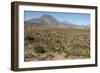 Volcan las Tres Virgenes, Santa Rosalia, Baja California, Mexico, North America-Tony Waltham-Framed Photographic Print