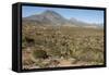 Volcan las Tres Virgenes, Santa Rosalia, Baja California, Mexico, North America-Tony Waltham-Framed Stretched Canvas