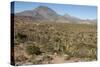 Volcan las Tres Virgenes, Santa Rosalia, Baja California, Mexico, North America-Tony Waltham-Stretched Canvas