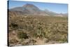 Volcan las Tres Virgenes, Santa Rosalia, Baja California, Mexico, North America-Tony Waltham-Stretched Canvas