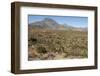Volcan las Tres Virgenes, Santa Rosalia, Baja California, Mexico, North America-Tony Waltham-Framed Photographic Print