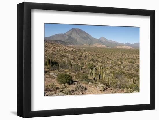 Volcan las Tres Virgenes, Santa Rosalia, Baja California, Mexico, North America-Tony Waltham-Framed Photographic Print