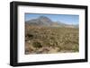 Volcan las Tres Virgenes, Santa Rosalia, Baja California, Mexico, North America-Tony Waltham-Framed Photographic Print