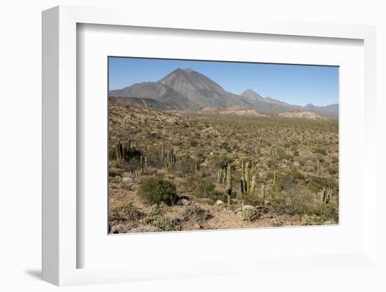 Volcan las Tres Virgenes, Santa Rosalia, Baja California, Mexico, North America-Tony Waltham-Framed Photographic Print