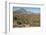 Volcan las Tres Virgenes, Santa Rosalia, Baja California, Mexico, North America-Tony Waltham-Framed Photographic Print