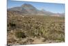 Volcan las Tres Virgenes, Santa Rosalia, Baja California, Mexico, North America-Tony Waltham-Mounted Photographic Print