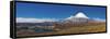 Volcan Parinacota, Lauca National Park, Tarapaca Region, Northern Chile-Michele Falzone-Framed Stretched Canvas