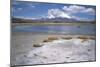 Volcan Parinacota on Right, Volcan Pomerape on Left, Volcanoes in the Lauca National Park, Chile-Geoff Renner-Mounted Photographic Print