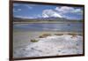 Volcan Parinacota on Right, Volcan Pomerape on Left, Volcanoes in the Lauca National Park, Chile-Geoff Renner-Framed Photographic Print