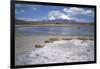 Volcan Parinacota on Right, Volcan Pomerape on Left, Volcanoes in the Lauca National Park, Chile-Geoff Renner-Framed Photographic Print