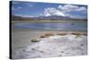 Volcan Parinacota on Right, Volcan Pomerape on Left, Volcanoes in the Lauca National Park, Chile-Geoff Renner-Stretched Canvas