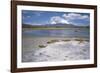 Volcan Parinacota on Right, Volcan Pomerape on Left, Volcanoes in the Lauca National Park, Chile-Geoff Renner-Framed Photographic Print