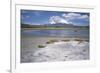 Volcan Parinacota on Right, Volcan Pomerape on Left, Volcanoes in the Lauca National Park, Chile-Geoff Renner-Framed Photographic Print