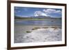 Volcan Parinacota on Right, Volcan Pomerape on Left, Volcanoes in the Lauca National Park, Chile-Geoff Renner-Framed Photographic Print