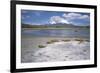 Volcan Parinacota on Right, Volcan Pomerape on Left, Volcanoes in the Lauca National Park, Chile-Geoff Renner-Framed Photographic Print