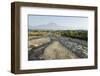 Volcan Tacana, 4060M, Chiapas, Mexico, North America-Tony Waltham-Framed Photographic Print