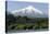 Volcan Villarrica and Lao Villarrica at Pucon, Lakes District, Southern Chile, South America-Tony-Stretched Canvas