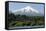 Volcan Villarrica and Lao Villarrica at Pucon, Lakes District, Southern Chile, South America-Tony-Framed Stretched Canvas