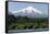 Volcan Villarrica and Lao Villarrica at Pucon, Lakes District, Southern Chile, South America-Tony-Framed Stretched Canvas