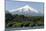 Volcan Villarrica and Lao Villarrica at Pucon, Lakes District, Southern Chile, South America-Tony-Mounted Photographic Print