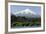 Volcan Villarrica and Lao Villarrica at Pucon, Lakes District, Southern Chile, South America-Tony-Framed Photographic Print