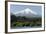 Volcan Villarrica and Lao Villarrica at Pucon, Lakes District, Southern Chile, South America-Tony-Framed Photographic Print