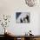 Volcanes Del Norte, a Band Formed by Inmates, Perform Next to Wall Inside Ciudad Juarez City Prison-null-Mounted Photographic Print displayed on a wall