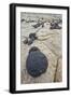 Volcanic Boulders on Navajo Sandstone-James Hager-Framed Photographic Print