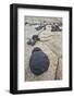 Volcanic Boulders on Navajo Sandstone-James Hager-Framed Photographic Print