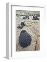 Volcanic Boulders on Navajo Sandstone-James Hager-Framed Photographic Print