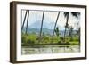 Volcanic Cones-Rob-Framed Photographic Print