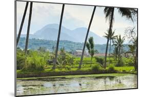 Volcanic Cones-Rob-Mounted Photographic Print