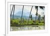 Volcanic Cones-Rob-Framed Photographic Print