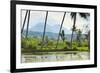 Volcanic Cones-Rob-Framed Photographic Print