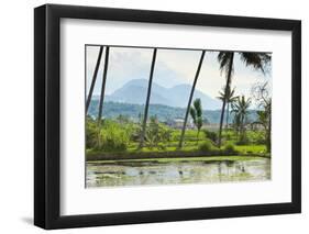 Volcanic Cones-Rob-Framed Photographic Print