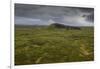 Volcanic crater and moss-covered lava fields on the Snaefellsness Peninsula, Iceland, Polar Regions-Jon Reaves-Framed Photographic Print