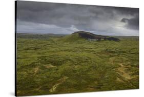 Volcanic crater and moss-covered lava fields on the Snaefellsness Peninsula, Iceland, Polar Regions-Jon Reaves-Stretched Canvas