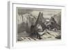 Volcanic Crater in the Saian Mountains, Mongolia-Richard Principal Leitch-Framed Giclee Print