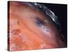 Volcanic Eruptions of Pele on Moon Io Taken by Spacecraft Voyager 2-null-Stretched Canvas