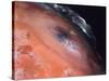 Volcanic Eruptions of Pele on Moon Io Taken by Spacecraft Voyager 2-null-Stretched Canvas